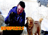 新疆青年倾尽全力保护哈萨克牧羊犬（分享）