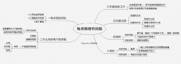 宠物龟冬眠细节问题思维导图