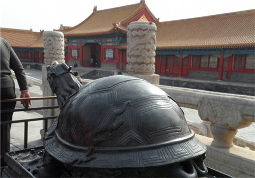 中国最大的石龟