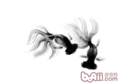 浅论水质与鱼病 浅论水质与鱼病