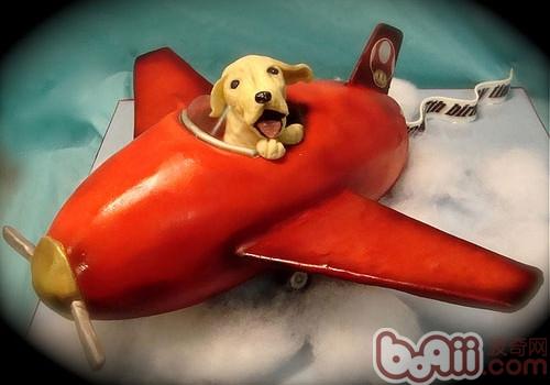 狗狗乘飛機小貼士