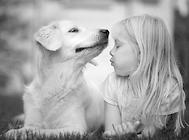 饲养狗狗能降低孩子过敏的几率