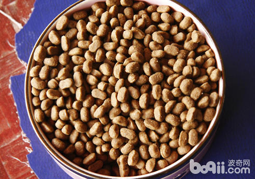 狗狗一天吃多少狗粮|成犬饲养-波奇网百科大全