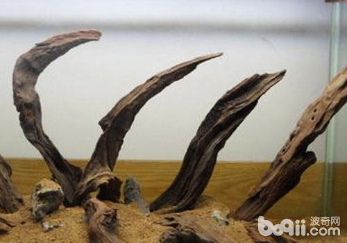 沉木的自制方法