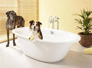 狗狗洗澡用什么比较好