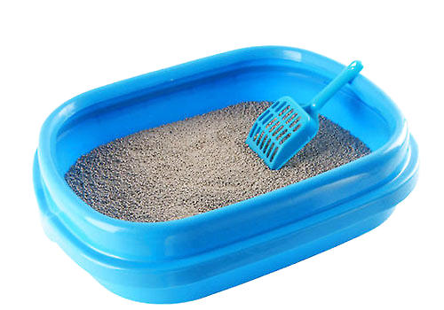  给猫咪使用猫砂前要准备什么？