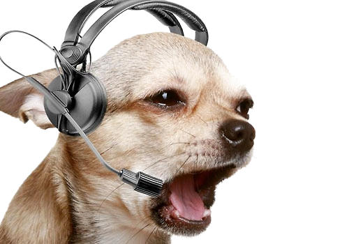 音樂對狗狗有什麼影響