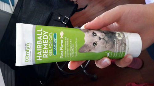 猫咪使用化毛膏需要注意什么 猫咪使用化毛膏需要注意什么