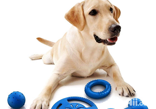 根據自家狗狗的習慣來挑選玩具