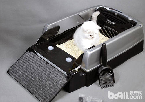 真的有自动清洁猫砂盆吗？