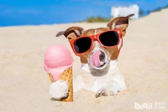 夏季给狗狗消暑的方法都有哪些？