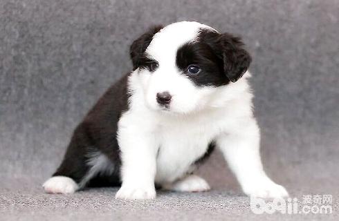 timg (6).jpg timg (6).jpg