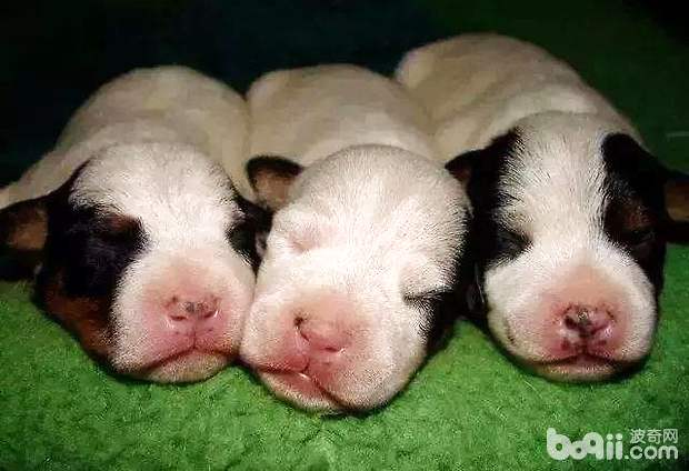 timg (8).jpg timg (8).jpg