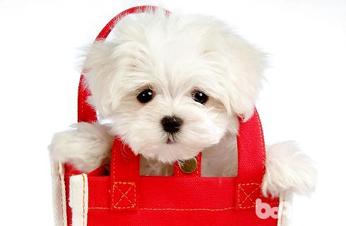 timg (5).jpg timg (5).jpg