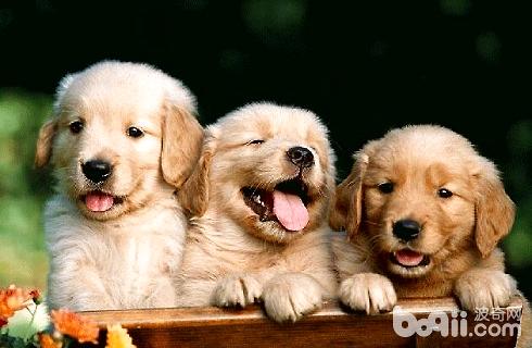 QQ截图20181225104521.jpg QQ截图20181225104521.jpg