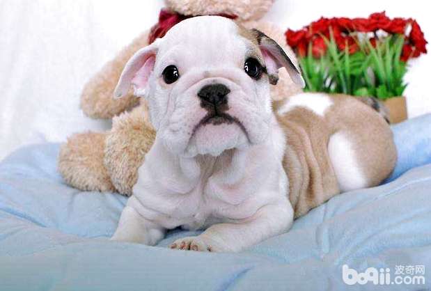 timg (9).jpg timg (9).jpg