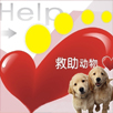 救助•领养