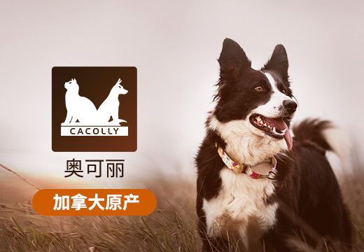 CACOLLY/奥可丽
