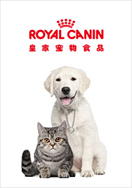 皇家