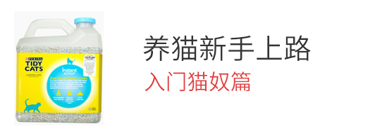 养猫新手