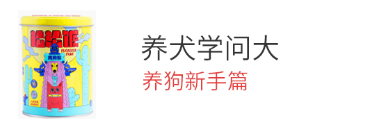 养狗新手