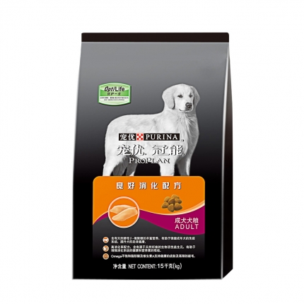 红泰迪长白毛是怎么回事|成犬饲养-波奇网百科