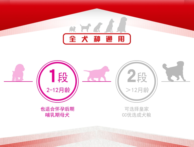 法国皇家ROYAL CANIN A3优选怀孕哺乳期母犬及幼犬粮 8kg