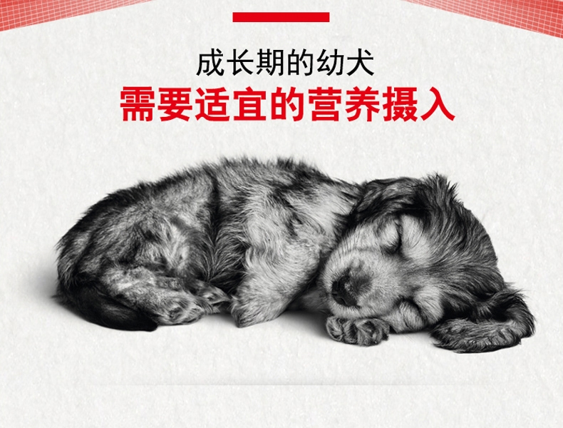 法国皇家ROYAL CANIN A3优选怀孕哺乳期母犬及幼犬粮 8kg