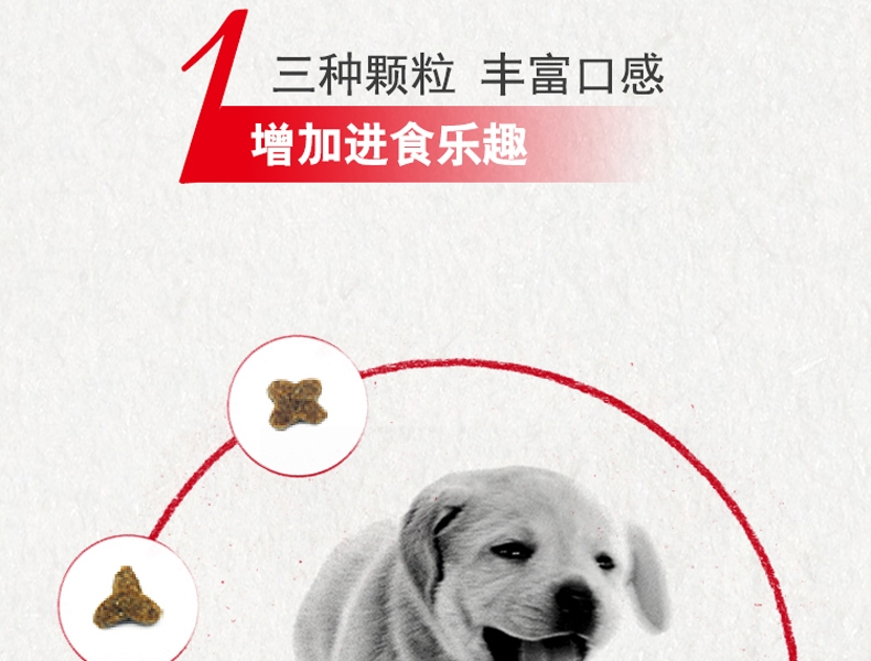 法国皇家ROYAL CANIN A3优选怀孕哺乳期母犬及幼犬粮 8kg