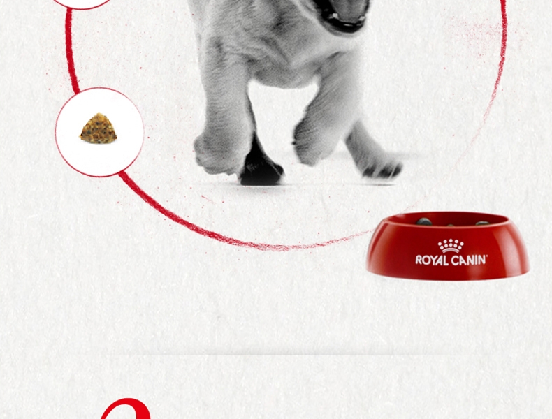 法国皇家ROYAL CANIN A3优选怀孕哺乳期母犬及幼犬粮 8kg