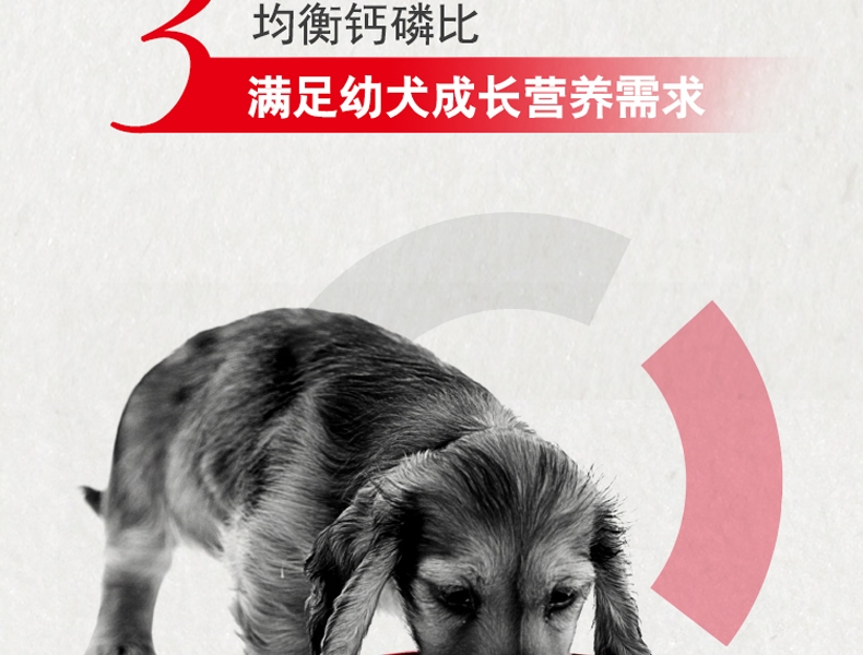 法国皇家ROYAL CANIN A3优选怀孕哺乳期母犬及幼犬粮 8kg