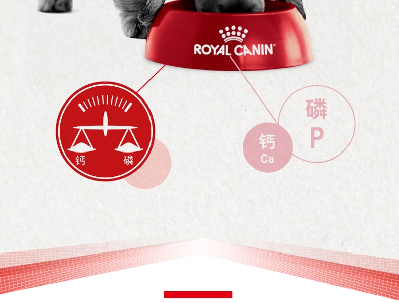 法国皇家ROYAL CANIN A3优选怀孕哺乳期母犬及幼犬粮 8kg