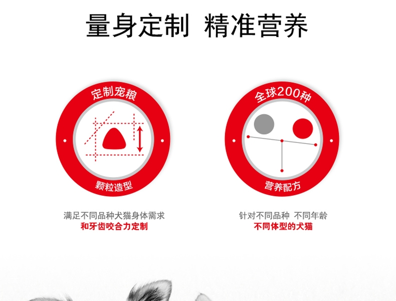 法国皇家ROYAL CANIN A3优选怀孕哺乳期母犬及幼犬粮 8kg