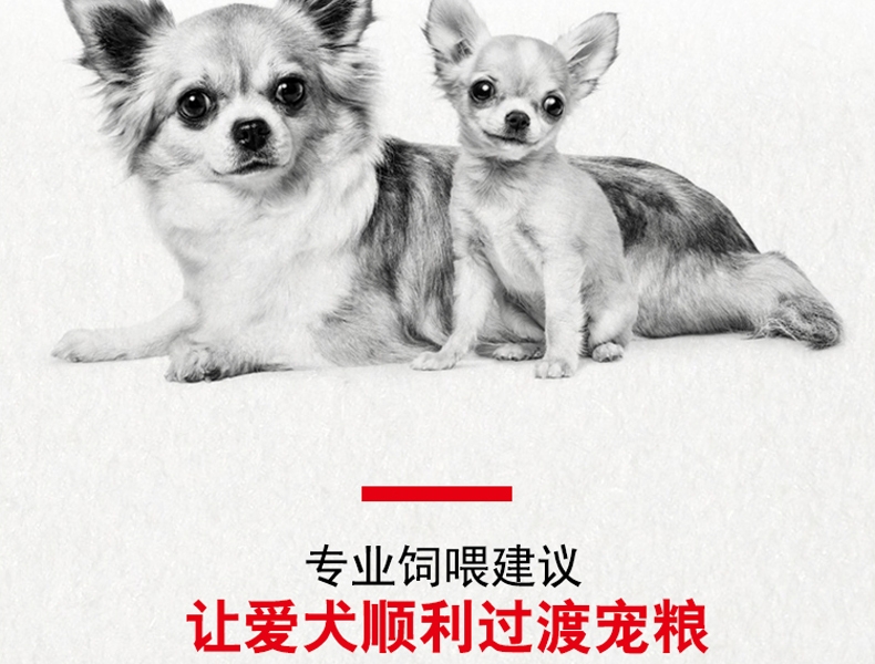 法国皇家ROYAL CANIN A3优选怀孕哺乳期母犬及幼犬粮 8kg