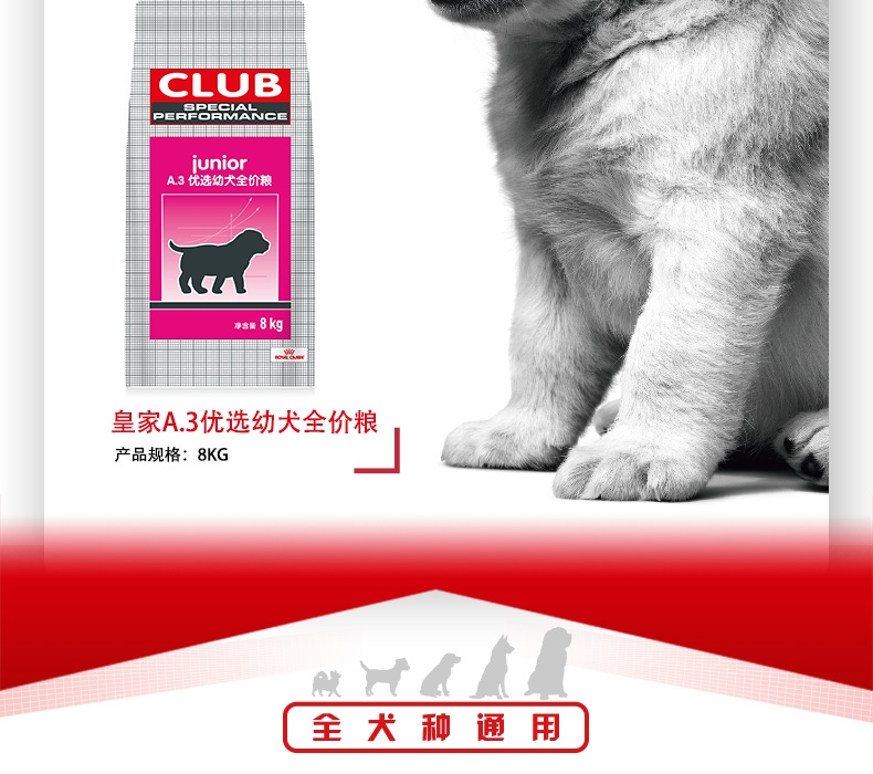 法国皇家ROYAL CANIN A3优选怀孕哺乳期母犬及幼犬粮 8kg