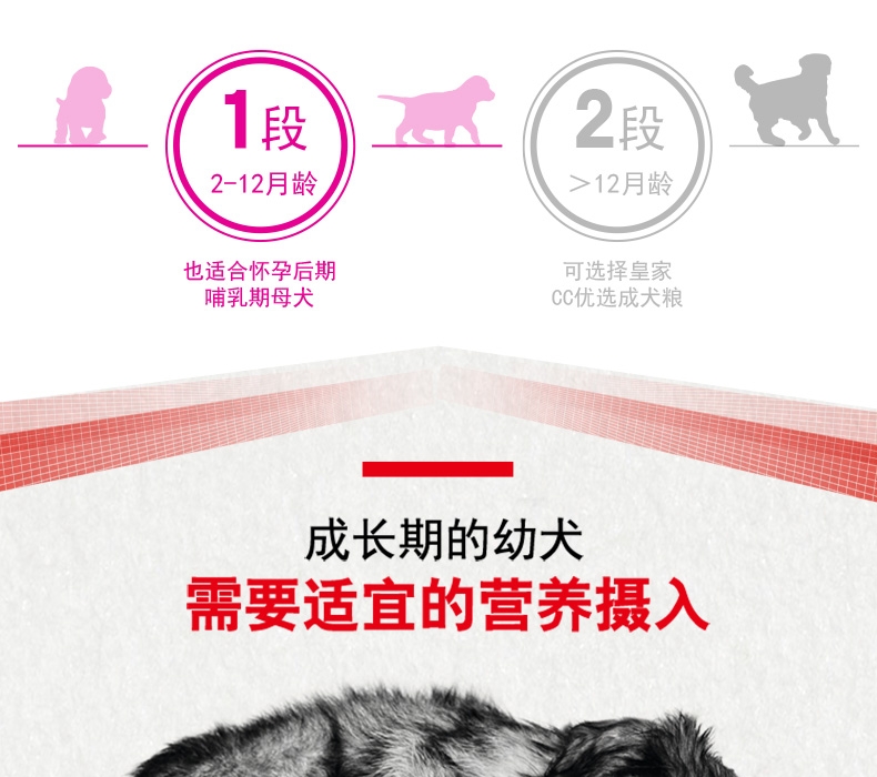法国皇家ROYAL CANIN A3优选怀孕哺乳期母犬及幼犬粮 8kg