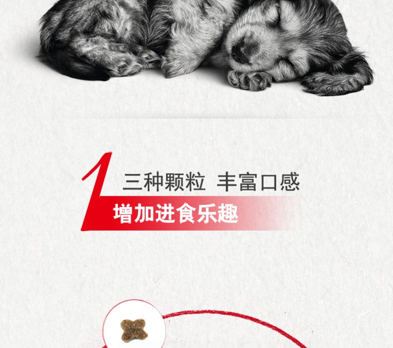法国皇家ROYAL CANIN A3优选怀孕哺乳期母犬及幼犬粮 8kg