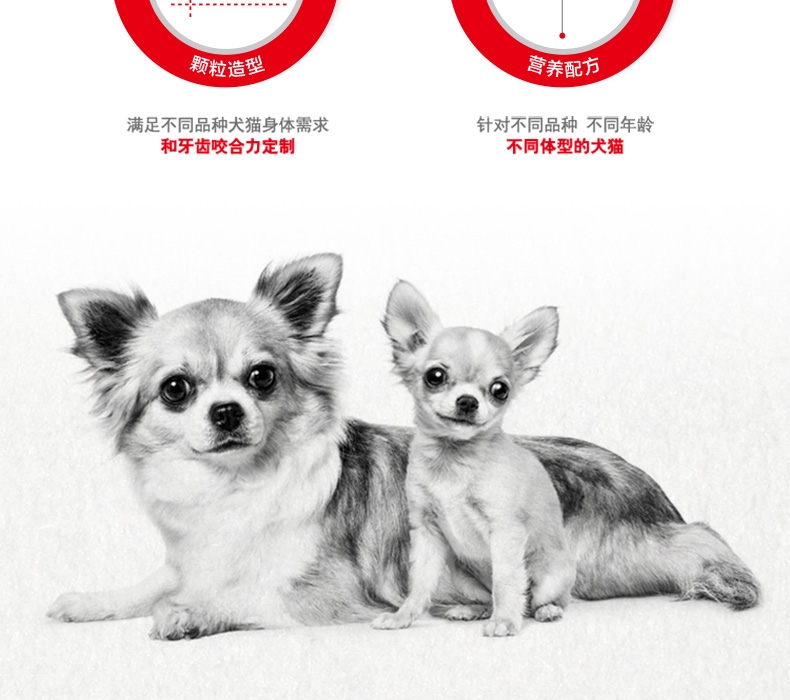 法国皇家ROYAL CANIN A3优选怀孕哺乳期母犬及幼犬粮 8kg