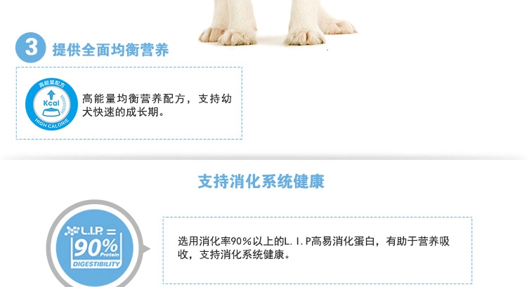 法国皇家ROYAL CANIN 小型犬幼犬粮专用狗粮2kg MIJ31