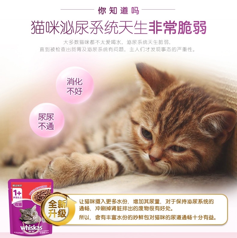 伟嘉 精选 鲜肝成猫妙鲜包 85g