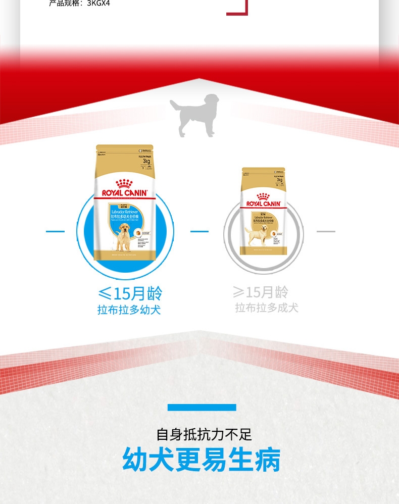 法国皇家Royal Canin 拉布拉多幼犬粮 3kg*4包