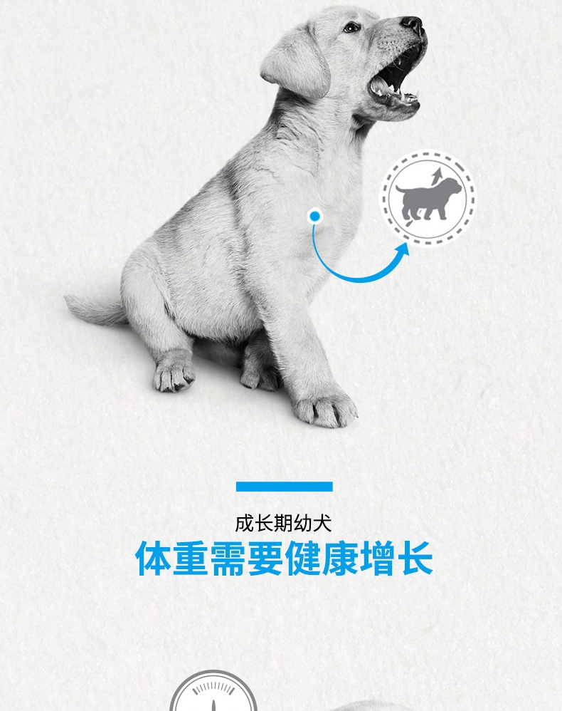 法国皇家Royal Canin 拉布拉多幼犬粮 3kg*4包