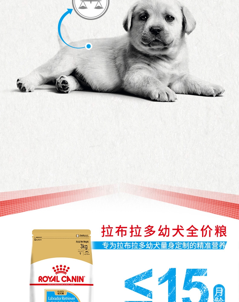 法国皇家Royal Canin 拉布拉多幼犬粮 3kg*4包