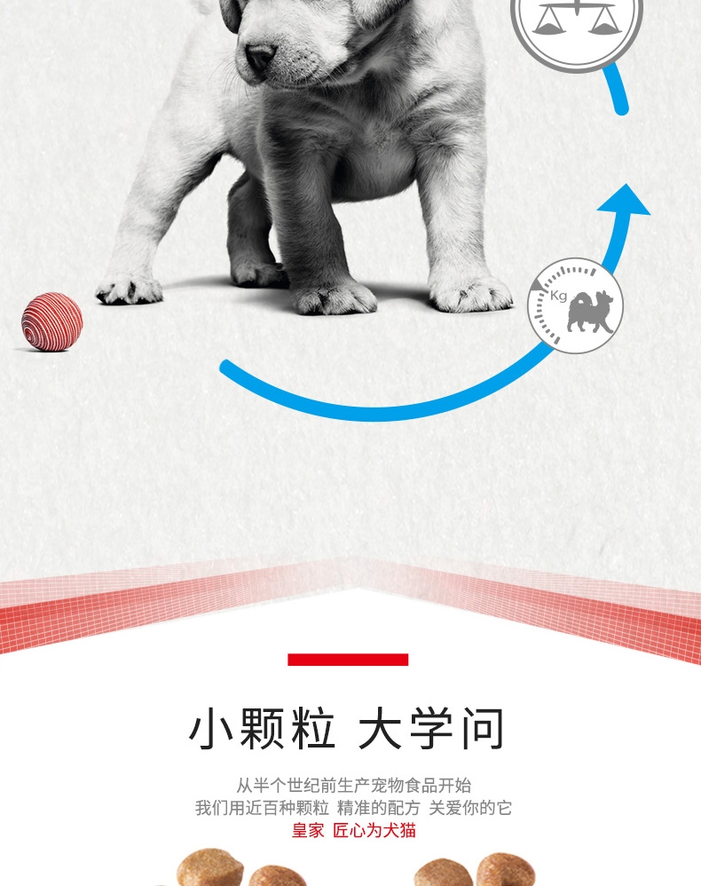 法国皇家Royal Canin 拉布拉多幼犬粮 3kg*4包