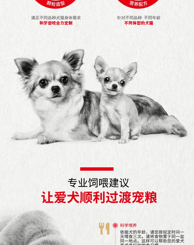 法国皇家Royal Canin 拉布拉多幼犬粮 3kg*4包