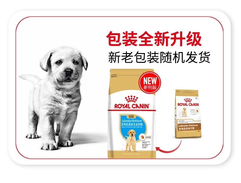 法国皇家Royal Canin 拉布拉多幼犬粮 3kg*4包