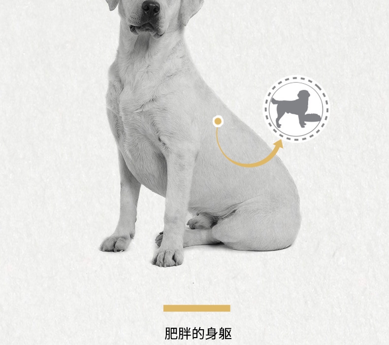 法国皇家ROYAL CANIN 拉布拉多成犬粮 3kg*4