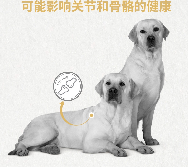 法国皇家ROYAL CANIN 拉布拉多成犬粮 3kg*4