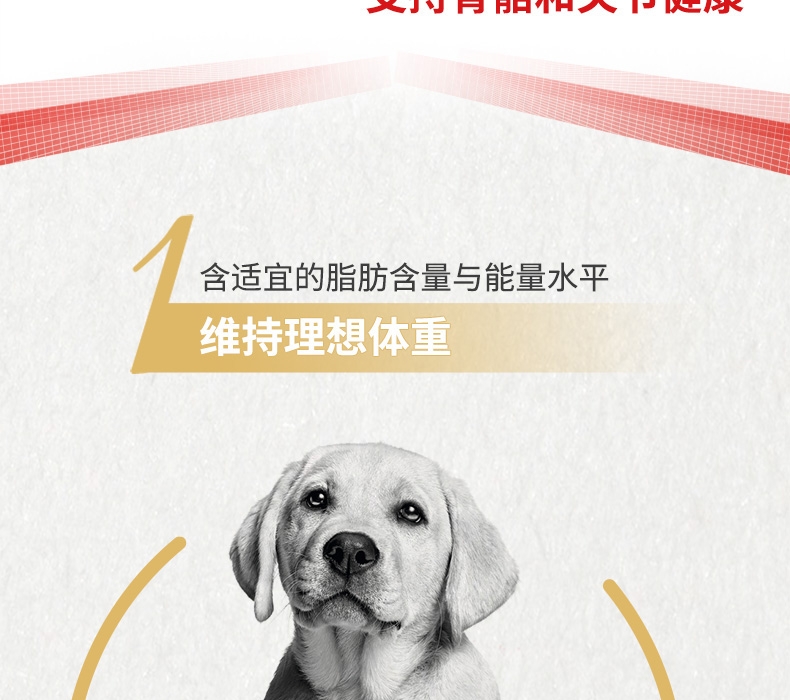 法国皇家ROYAL CANIN 拉布拉多成犬粮 3kg*4