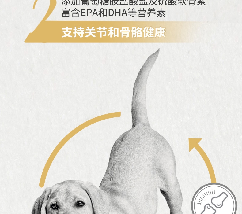 法国皇家ROYAL CANIN 拉布拉多成犬粮 3kg*4